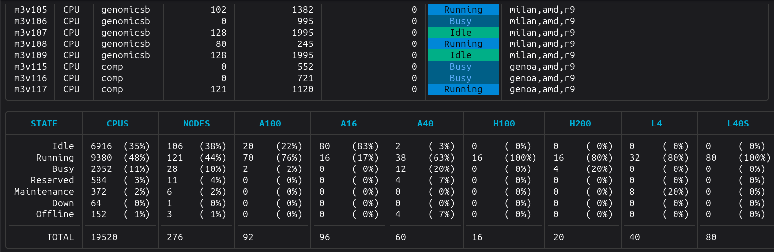 Example output of cinfo showing a table of nodes and a summary table